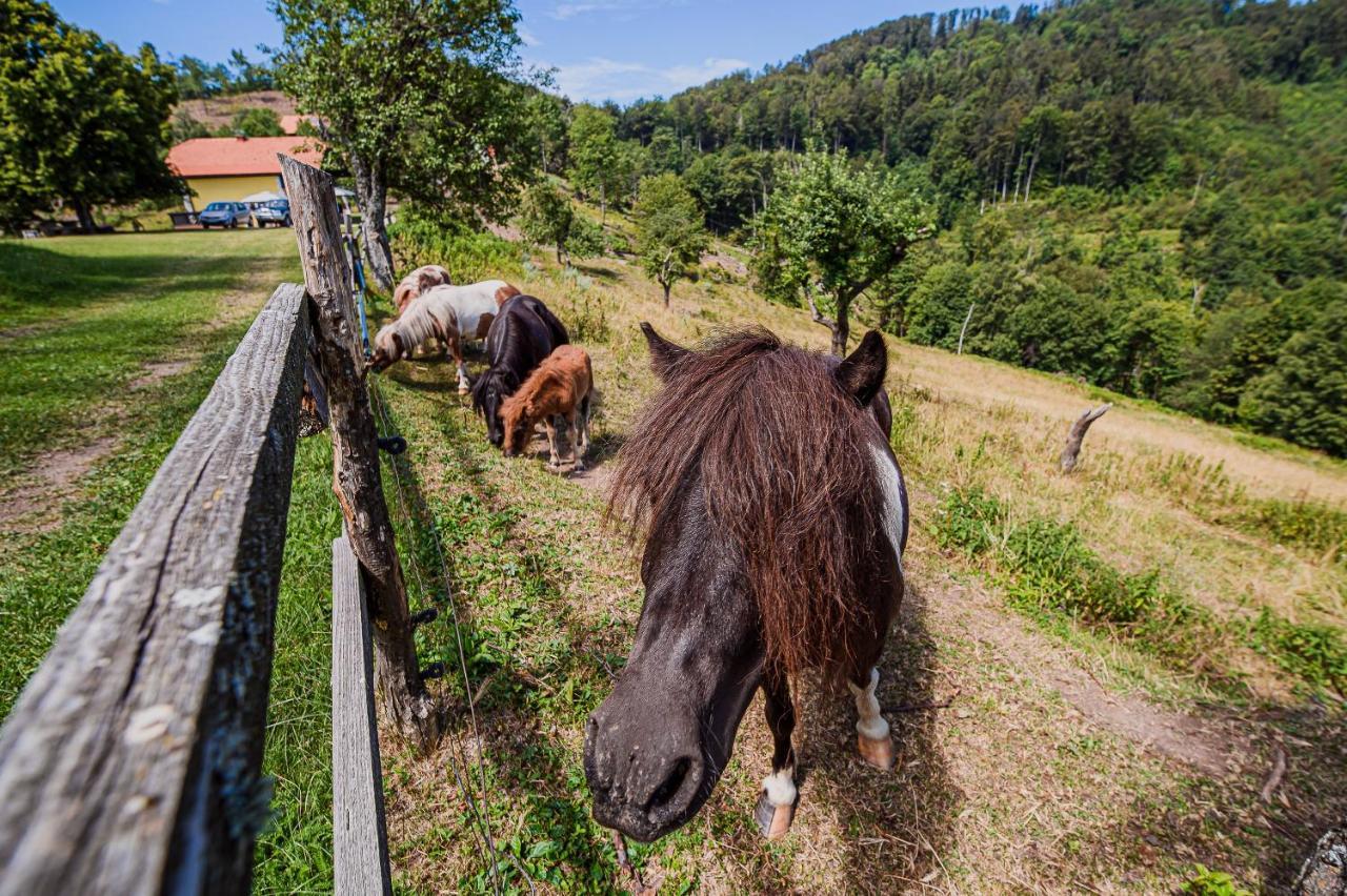 Appartamento Eko Pony Ranch Ogrizek Podcetrtek Esterno foto