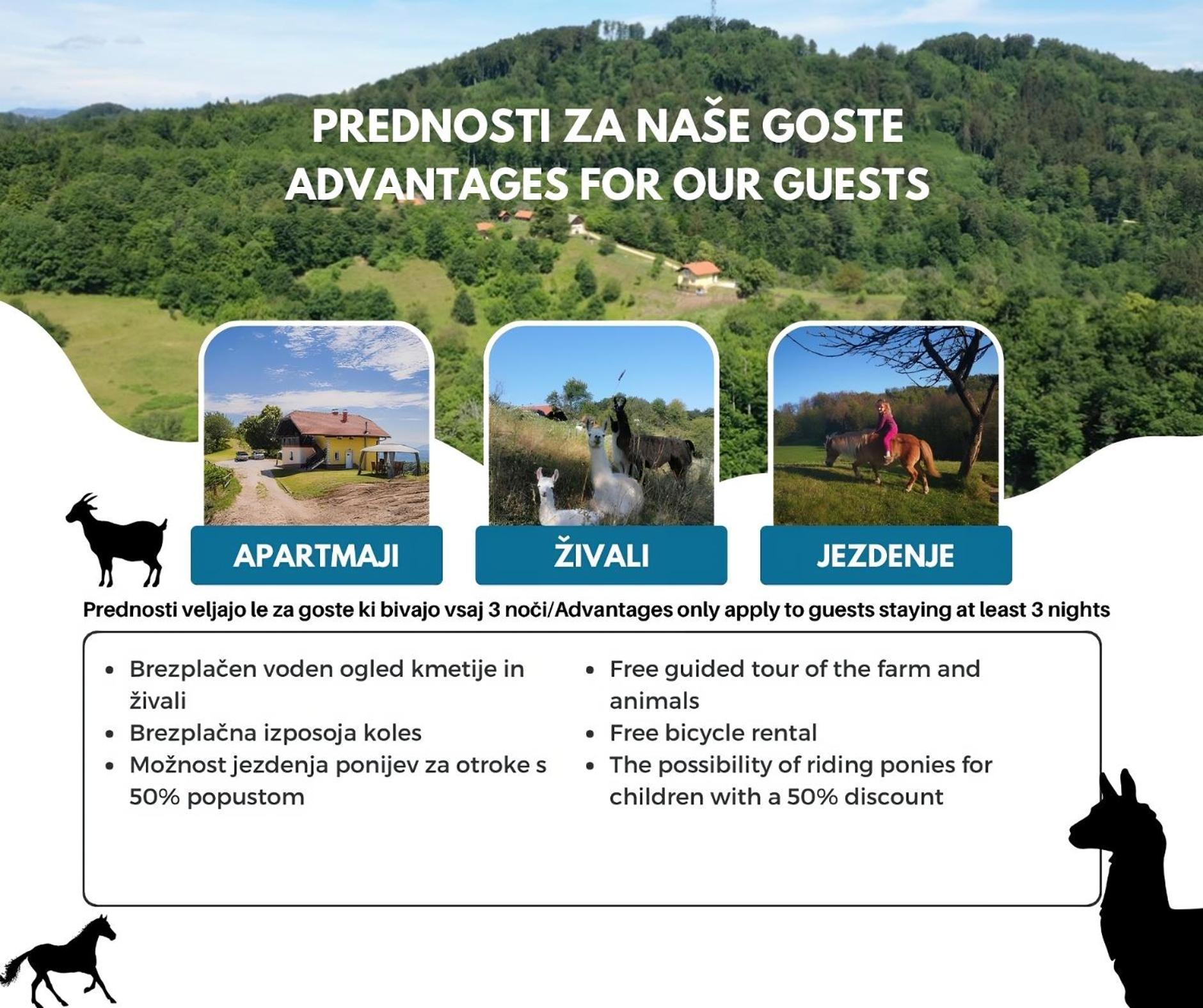 Appartamento Eko Pony Ranch Ogrizek Podcetrtek Esterno foto